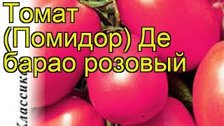 Томат Де барао розовый. Краткий обзор, описание характеристик solánum lycopérsicum