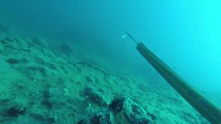 Spearfishing in Samos, Greece