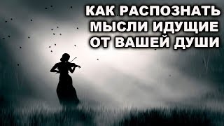 КАК ПОНИМАТЬ, ВИДЕТЬ И СЛЫШАТЬ ИСТИНУ, КАК СЛЫШАТЬ СВОЮ ДУШУ