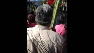 Domingo de Ramos Angangueo, Michoacan 2015