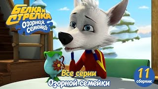 Озорная семейка - Белка и Стрелка - Все серии подряд (сборник 11) Поучительный мультсериал для детей