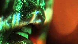 Solea Amphibia _ Tickle The Ivories
