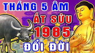 Cụ Tôi Cũng Phải Thừa Nhận: Tuổi ẤT SỬU 1985 Trúng Giải Độc Đắc, Tiền Vàng Nhét Nứt Két