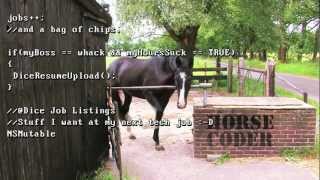 Horse Coder [Dice.com]