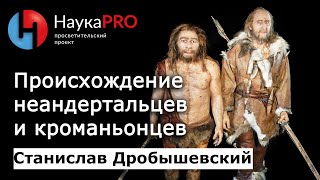 Станислав Дробышевский - Происхождение неандертальцев и кроманьонцев