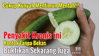WAJIB DICOBA...!!! CUMA RUTIN NGUNYAH MENTIMUN, FEN.YAKIT INI RONTOK TANPA AMPUN