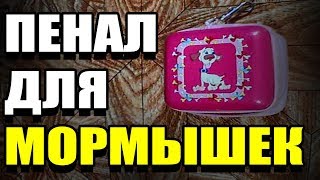 ПЕНАЛ ДЛЯ МОРМЫШЕК СВОИМИ РУКАМИ из детской игрушки