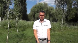 Как записать живое видео