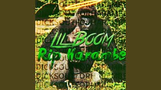 Rip Harambe