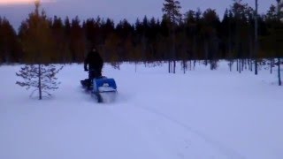 Мотобуксировщик БТС по лесу видео