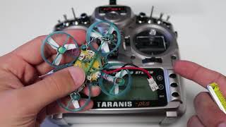 BeeBrain V2 Radio Setup & Bind - FrSky