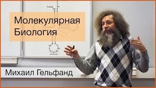 [Коллоквиум]: Все, что вы хотели знать про молекулярную биологию, но не удосужились спросить