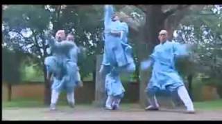 Легенда о шаолиньском кунг-фу
