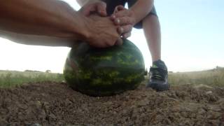 M80 + Watermelon HD