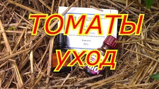 ТОМАТЫ уход