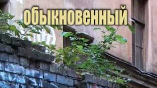 The Ordinary Antifascism (Обыкновенный антифашизм)