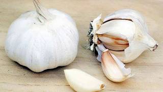 7 plantes qui traitent  l’impuissance masculine I La Torche du Monde