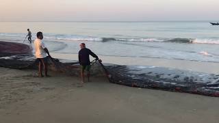 ГОА Беталбатим Индия утренняя рыбалка январь 2020. GOA India morning fishing.