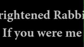 Frightened Rabbit - If You Were Me  (Lyrics)