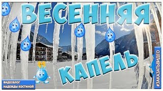 Весна ВЕСЕННЯЯ КАПЕЛЬ HD Футаж Фон для видеомонтажа