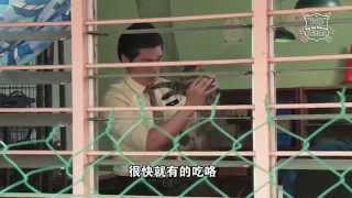 《欢喜上课lah》 3 - 杀猫凶手