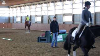 William Fox Pitt Intermediate Group flat