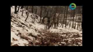 Тофалария - затерянный край. Часть вторая