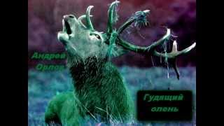 Андрей Орлов - Гудящий олень