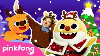 Tiburón Bebé de Nariz Roja | Canciones de Navidad para niños | Villancicos | Pinkfong Canta & Baila