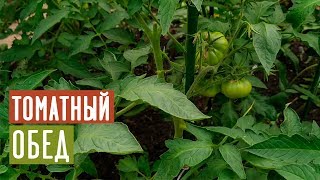 УРОЖАЙ ТОМАТОВ ВАС ПОРАЗИТ ? Полная поэтапная инструкция подкормок / Садовый гид