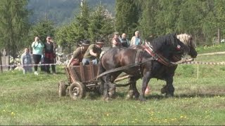 Narodil sa a zomrie pre kone
