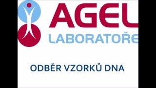 Odběr DNA pro test otcovství - instruktážní video