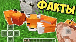 НОВЫЕ ФАКТЫ ПРО ЛИС В МАЙНКРАФТ ПЕ 1.13