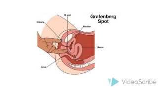 How to Make a Girl Squirt
