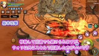 【ドラネスM】イエロードラゴンネストステージ５斬竜の神殿ー絶望（攻略動画）