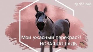 Важное видео | Опросы | Новая лошадь | Мой перекрас | Schleich (Шляйх) | by ESS Like
