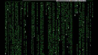 Matrix スクリーンセーバー