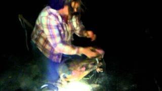 castration