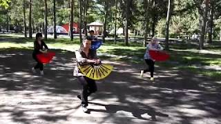 18 форм с веером Тайцзицюань стиль Ян 18 Form Yang Style Kung Fu Fan