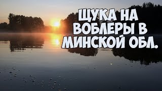 Ловля щуки в Минской области.  Рыбалка в Беларуси