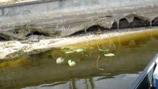Eagle Bay Bass Fishing 5-27-11