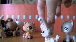 LPS: My Best Friend, The Vampire (Episode #2)