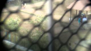 [HD] 8X Zoom Lens Camera Samples [Full HD]
