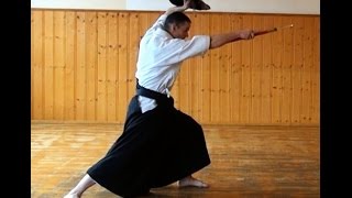 Karate Kobujutsu