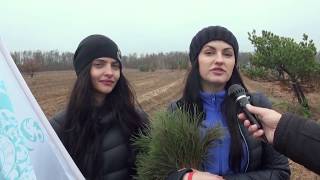 Новый лес в Усть Донецком районе