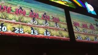 Journey to Oz - King of the Forest Slot Machine Bonus