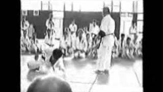 Aikido Nariyama Shihan