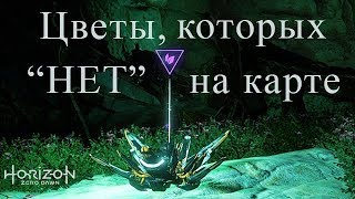 Horizon Zero Dawn / Цветы, которых "НЕТ" на карте