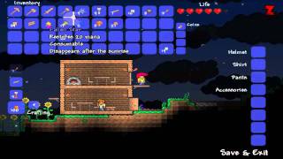 Let's Play Terraria #1 - Der neue Hype ?