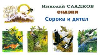 Николай Сладков "Сорока и дятел" - Сказки Сладкова - Слушать